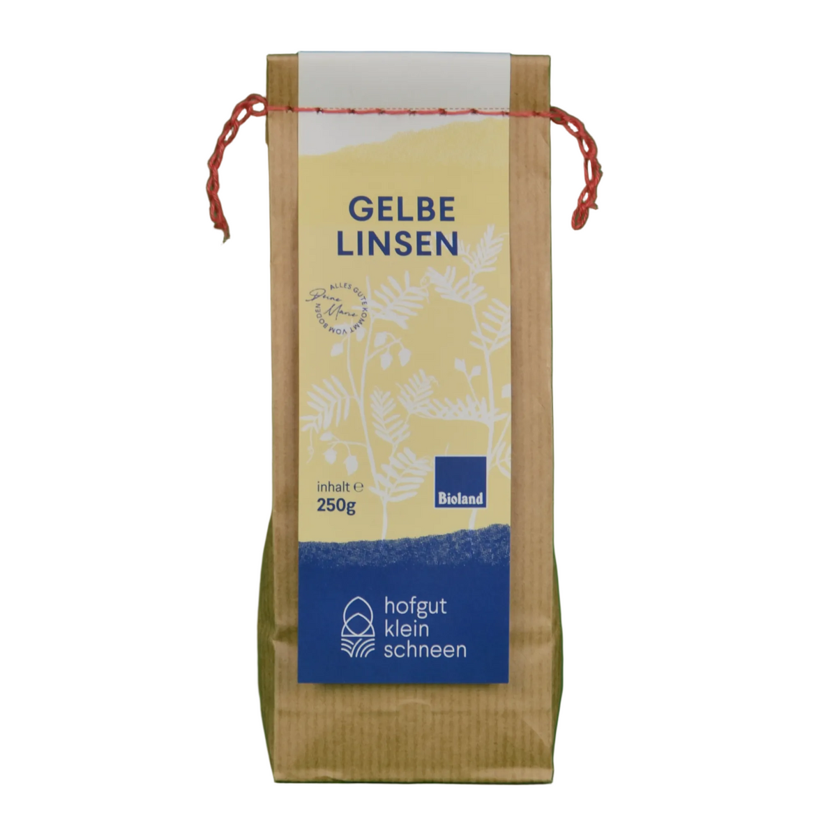gelbe Linsen